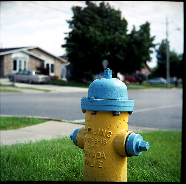 greatwall_berkley_hydrant2.jpg