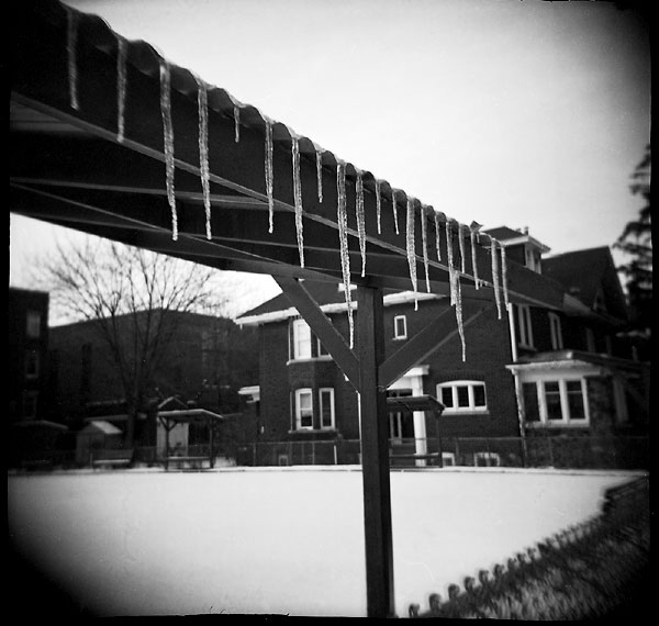 holga_icicles.jpg