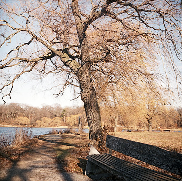 kiev88_brown.jpg