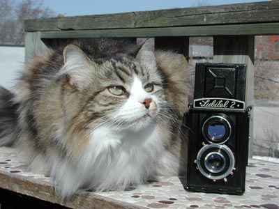 lubitel2 and the kitty