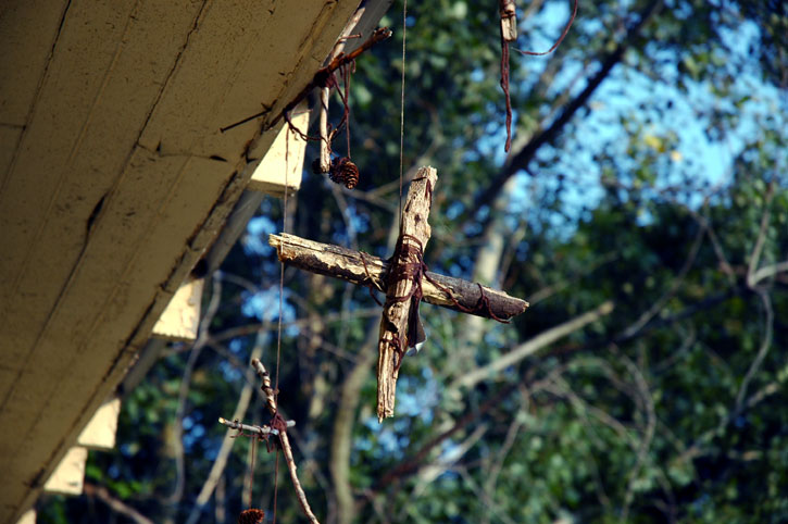 nikond70_hangingwood.jpg