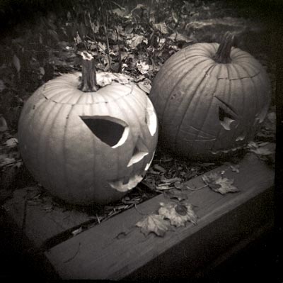 pumpkins.jpg