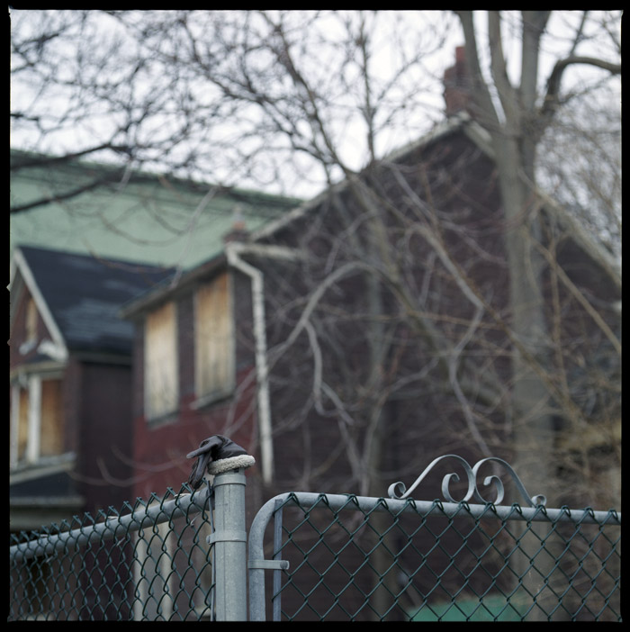 abandoned_fence_glove.jpg