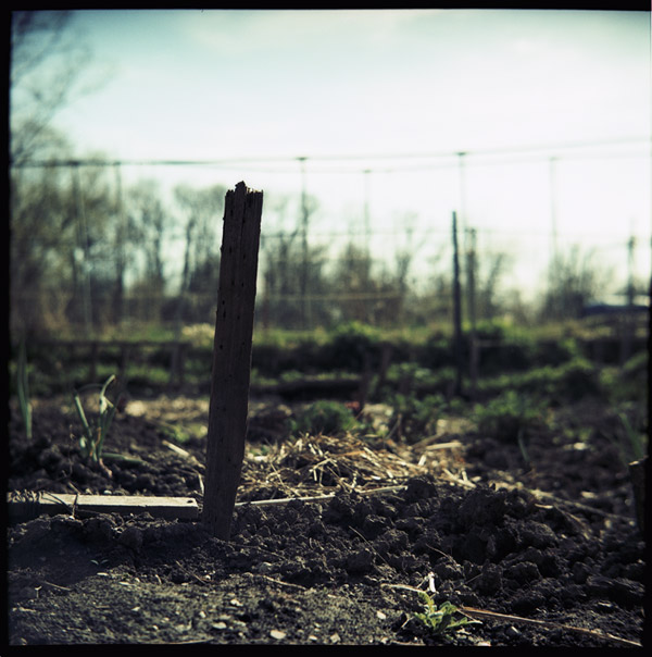 allotment_soil_stake.jpg