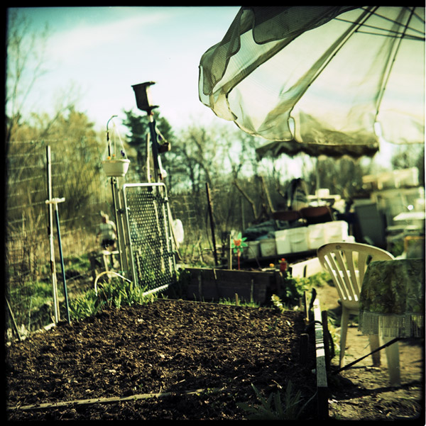 allotment_umbrella.jpg