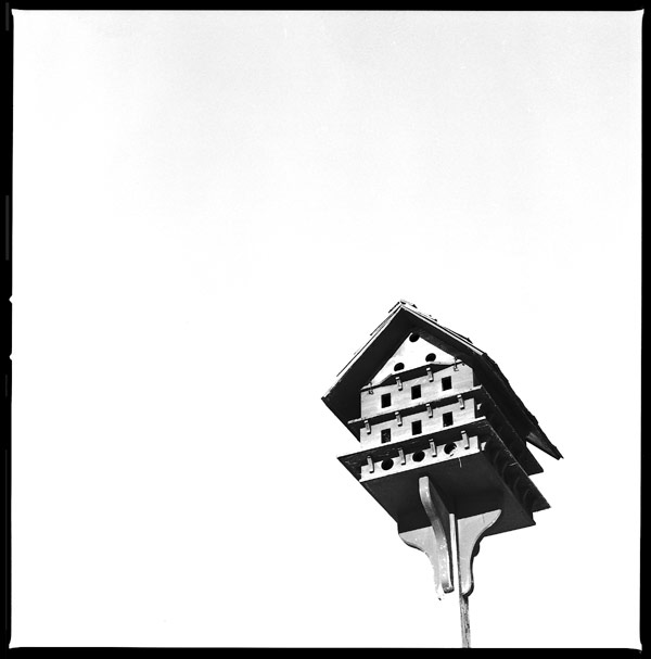 birdhouse.jpg