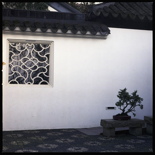 chinesegarden_bonsai.jpg