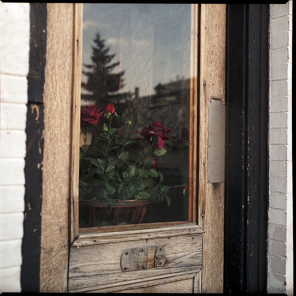 door_window_roses.jpg