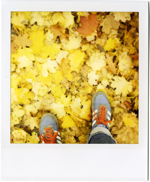 fallleaves_shoe.jpg