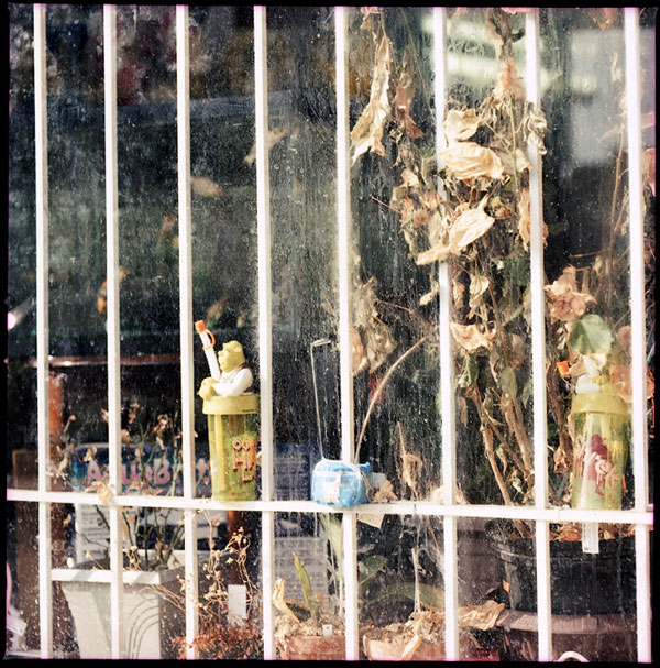 parkdale_window.jpg