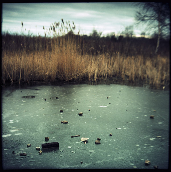 rockyice_wetland.jpg