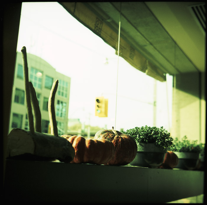 window_pumpkins.jpg