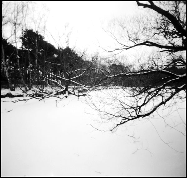 winter_highpark.jpg